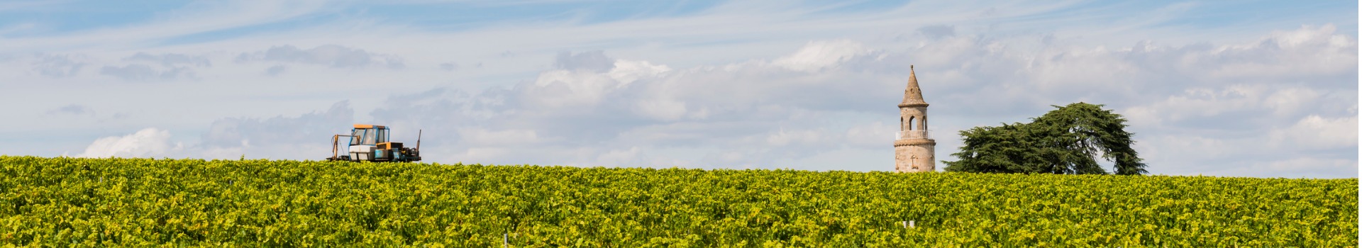 i Stock Medoc.jpg